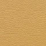 Eco-leather 012