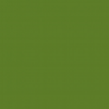 L81 verde muschio