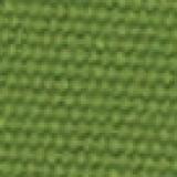 Grade C Sunbrella gingko 4685