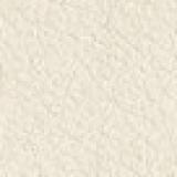 72 premium: snow