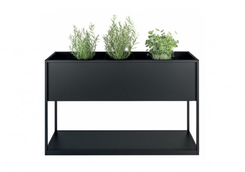 Planter Carl 615 1 box 