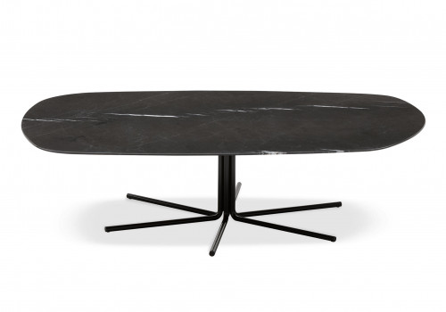 Rays large low coffee table