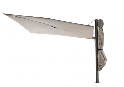 Sensu diamond Parasol