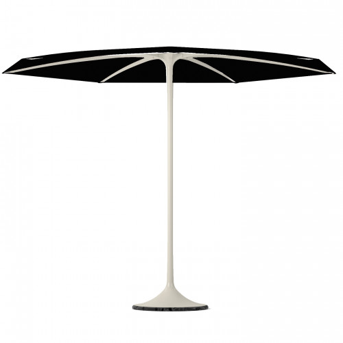 Palma parasol 