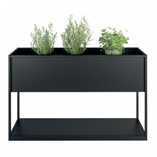 Planter Carl 615 1 box 