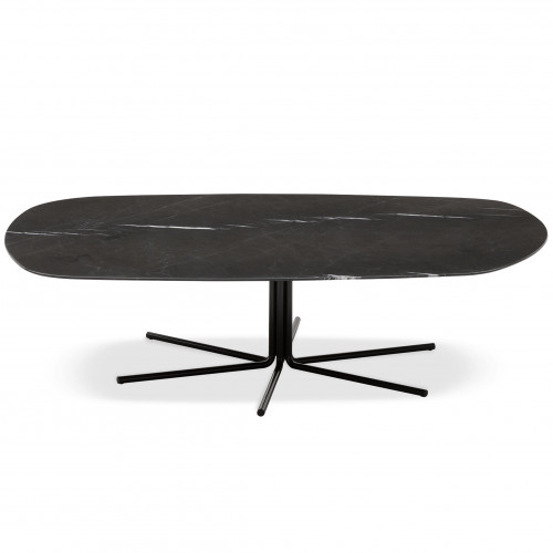 Rays large low coffee table
