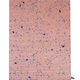 After-Party-Pink-Garth-Roberts-WEB-1600x2000.jpg