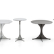 Anish table Minotti.jpg