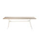 Branch_dining table_210cm_teak top_WIT.jpg