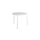 Branch coffee table.png