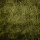 Bukit-ISP-002-400-breed.jpg