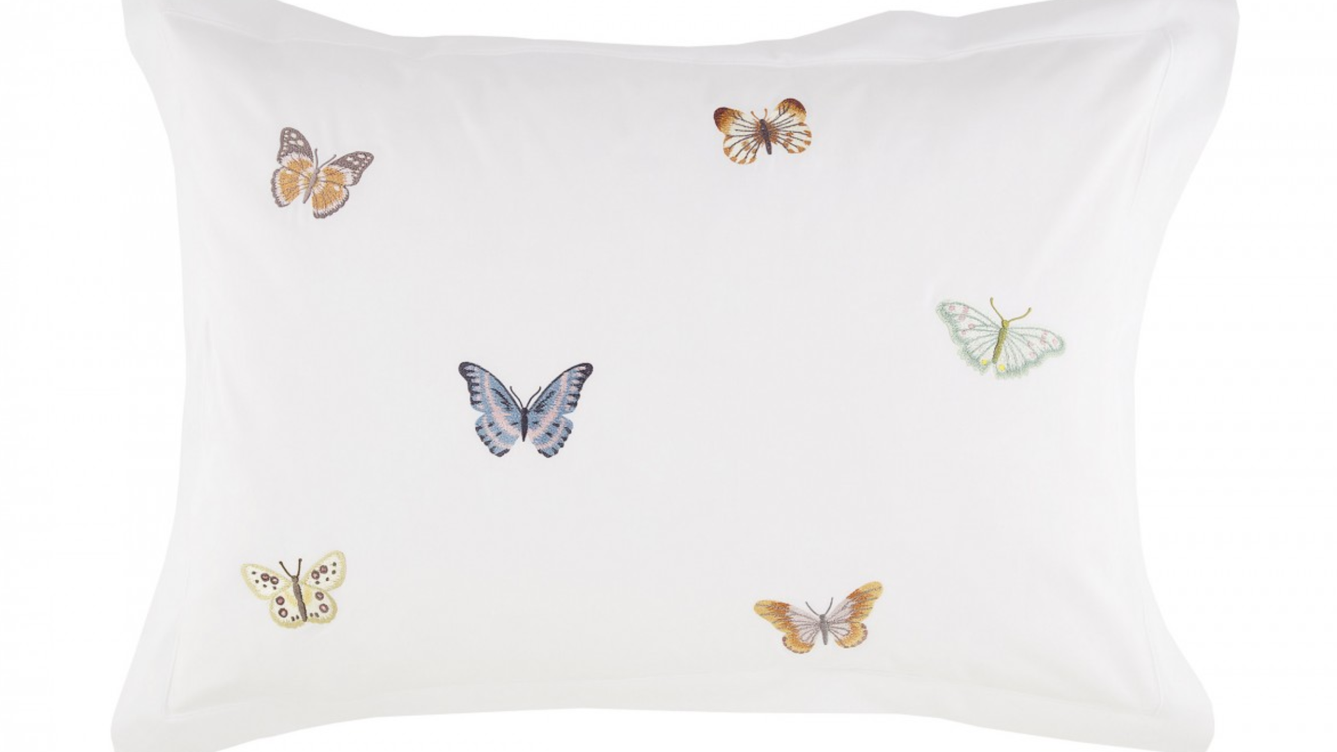 Butterfly 1.png