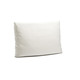 Vis-a-vis-casual-back-cushion.jpg
