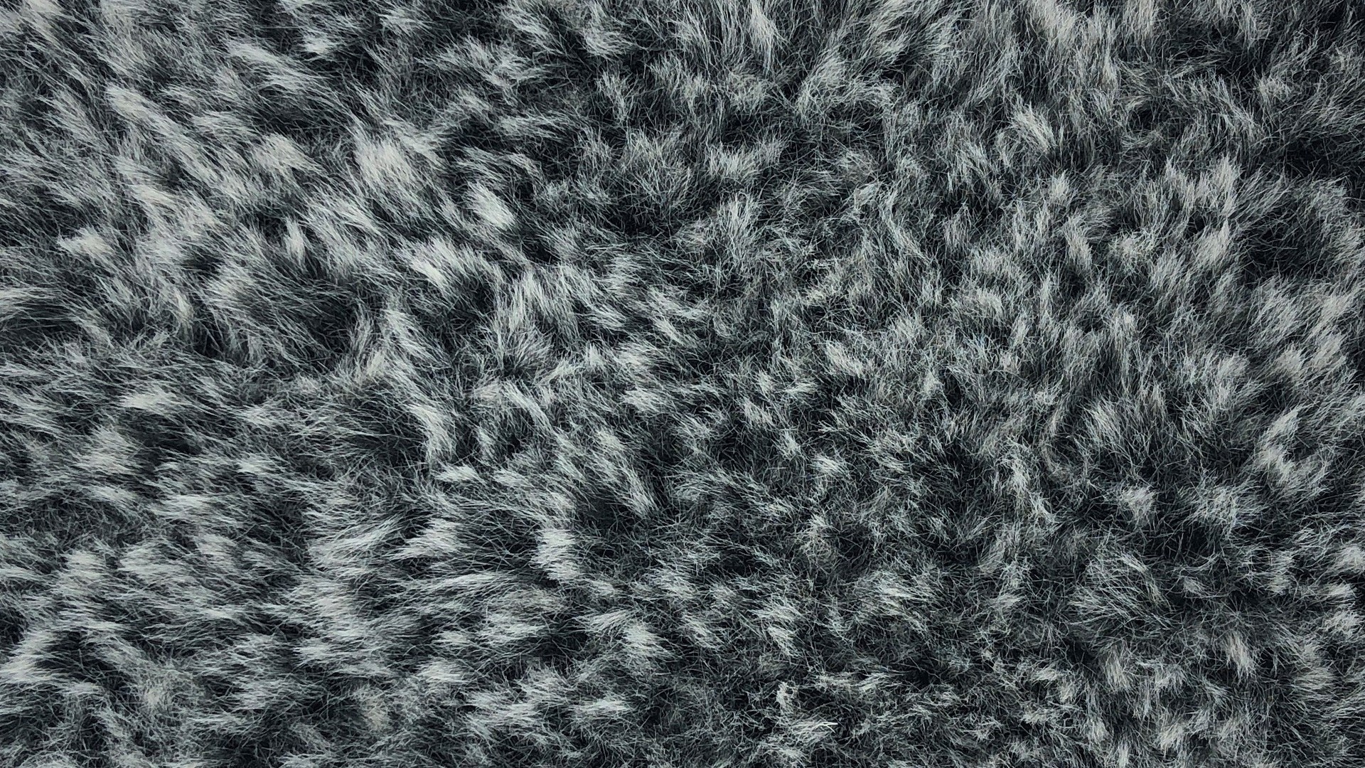 Faux FUR Grey.jpg