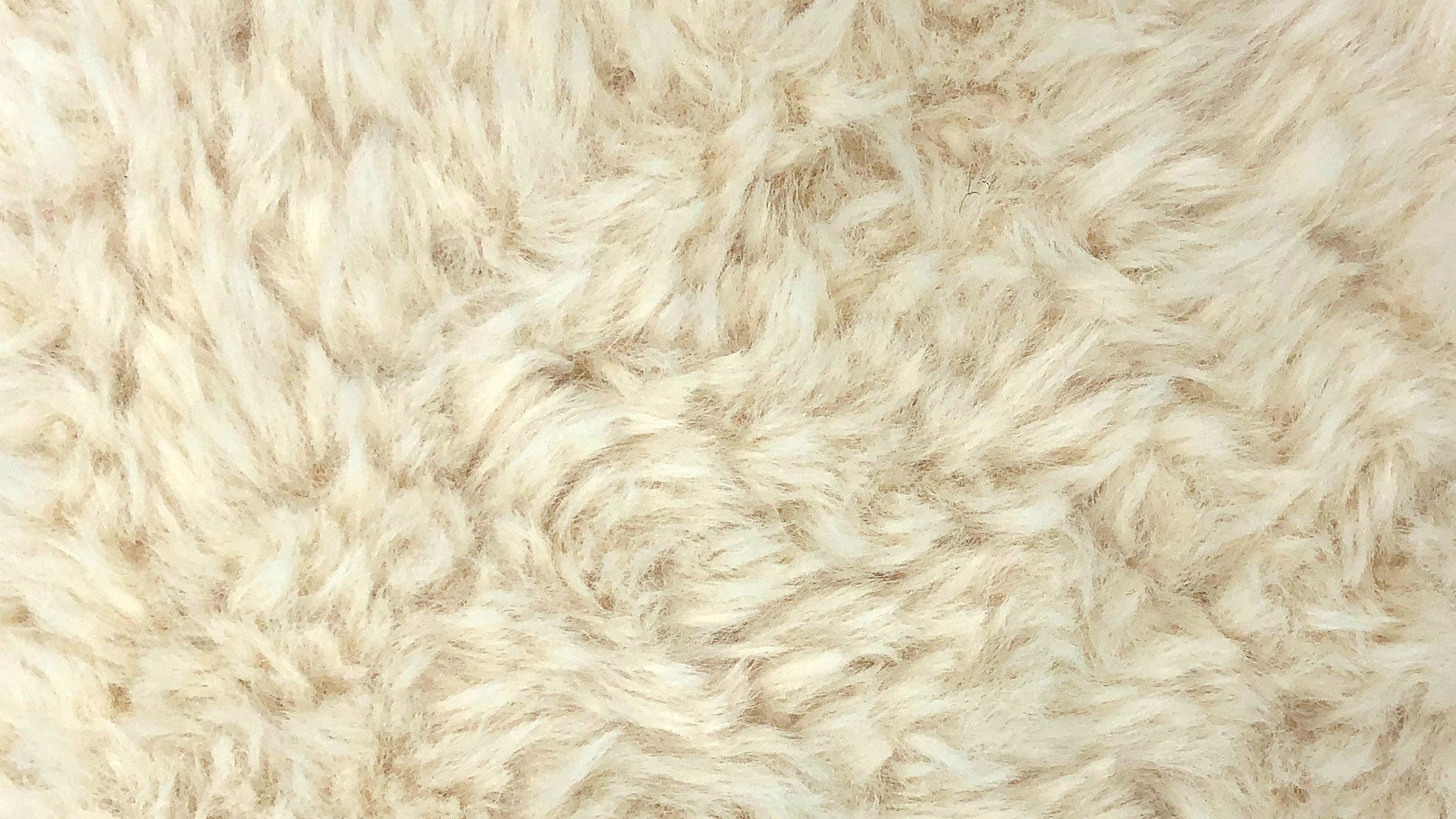 Faux FUR White.jpg