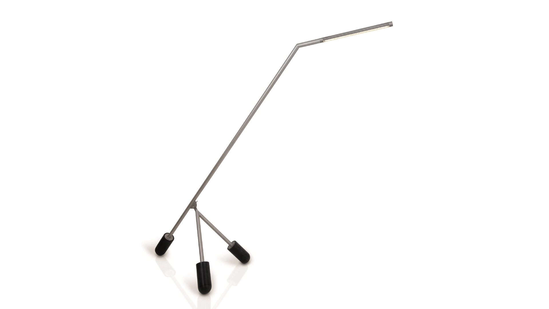 Giraffa2.png