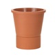 Terracotta pot large 2.jpg