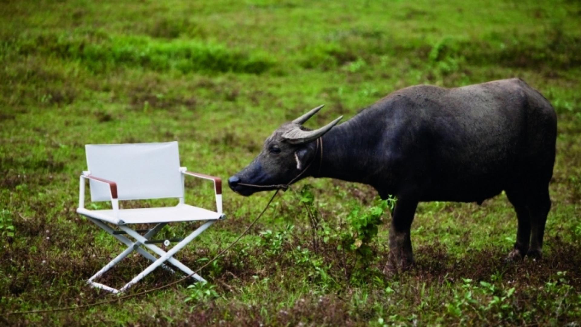 Seax lounge chair